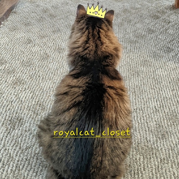 royalcat_closet